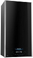 Котел газовый  ARISTON ALTEAS X 24 FF NG Котел газовый  ARISTON ALTEAS X 24 FF NG